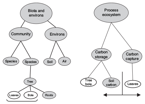 2008 Encyclopedia of Ecology, T.F.H. Allen, Figure1p