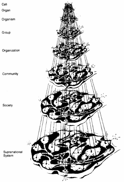 Living systems levels, in fray-out