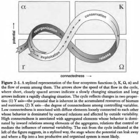 Figure 2-1. A stylized representation of the four ecosystem functions (r, K, Ω, α) and the flow of events among them. The arrows show the speed of that flow in the cycle, where short, closely spaced arrows indicate a slowly changing situation and long arrows indicate a rapidly changing situation. The cycle reflects changes in two properties: (1) Y axis-the potential that is inherent in the accumulated resources of biomass and nutrients; (2) X axis-the degree of connectedness among controlling variables. Low connectedness is associated with diffuse elements loosely connected to each other whose behavior is dominated by outward relations and affected by outside variability. High connectedness is associated with aggregated elements whose behavior is dominated by inward relations among elements of the aggregates, relations that control or mediate the influence of external variability. The exit from the cycle indicated at the left of the figure suggests, in a stylized way, the stage where the potential can leak away and where a flip into a less productive and organized system is most likely.