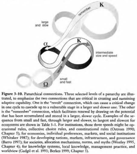 Figure 3-10. Panarchical connections. Three selected levels of a panarchy are illustrated, to emphasize the two connections that are critical in creating and sustaining adaptive capability. One is the "revolt" connection, which can cause a critical change in one cycle to cascade up to a vulnerable stage in a larger and slower one. The other is the "remember" connection, which facilitates renewal by drawing on the potential that has been accumulated and stored in a larger, slower cycle. Examples of the sequence from small and fast, through larger and slower, to largest and slowest for ecosystems are shown in Table 3-1. For institutions, those three speeds might be operational rules, collective choice rules, and constitutional rules (Ostrom 1990; Chapter 5); for economies, individual preferences, markets, and social institutions (Whitaker 1987); for developing nations, markets, infrastructure, and governance (Barro 1997); for societies, allocation mechanisms, norms, and myths (Westley 1995, Chapter 4); for knowledge systems, local knowledge, management practice, and worldview (Gadgil et al. 1993; Berkes 1999; Chapter 5).