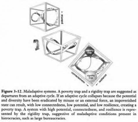 Figure 3-12. Maladaptive systems. A poverty trap and a rigidity trap are suggested as departures from an adaptive cycle. If an adaptive cycle collapses because the potential and diversity have been eradicated by misuse or an external force, an impoverished state can result, with low connectedness, low potential, and low resilience, creating a poverty trap. A system with high potential, connectedness, and resilience is represented by the rigidity trap, suggestive of maladaptive conditions present in hierocracies, such as large bureaucracies.