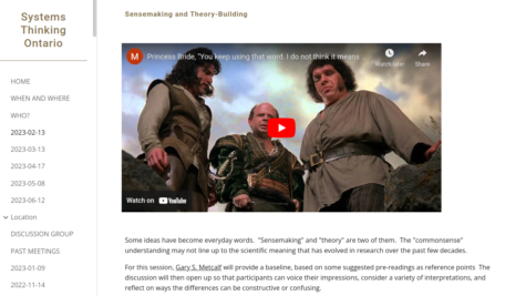 Sensemaking and Theory-Building