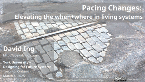 Pacing Changes: Elevating the when+where in living systems